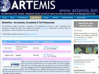Artemis MarketView