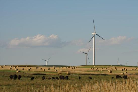 Nephila & Allianz complete first wind farm revenue swap in Australia