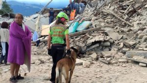 Italy quake insured losses not expected to exceed EUR200m: S&P