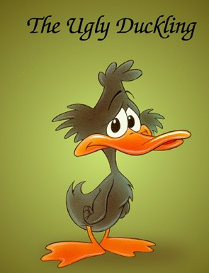 ugly-duckling-reinsurers