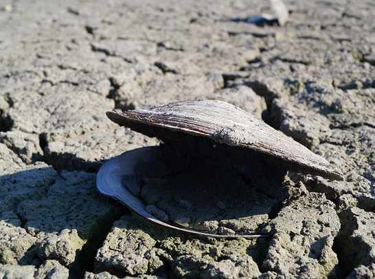 Excess capacity has largely evaporated following hurricanes: Swiss Re