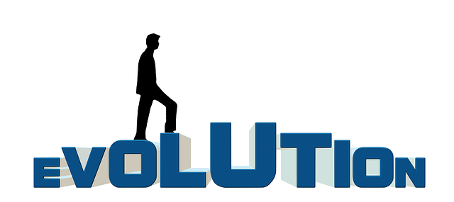 reinsurance market evolution