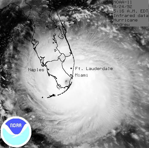 Industry may underestimate frequency of intense hurricanes: Bank of England