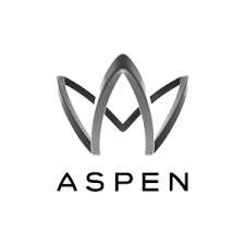 Aspen Insurance Holdings logo