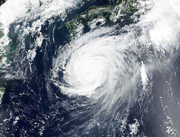 Typhoon Jebi