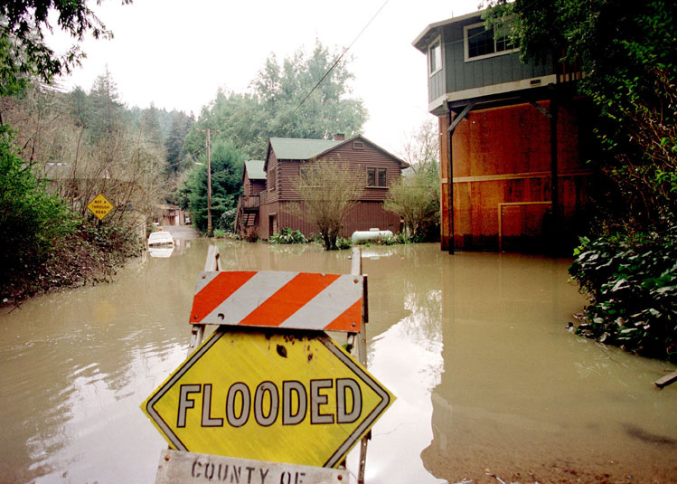 Flood insurance and risk transfer