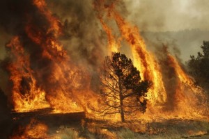 Wildfire loss expectations rise, as structures destroyed passes 10,800