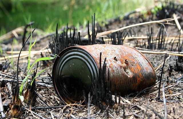 Camp wildfire industry loss up to $9bn: AIR