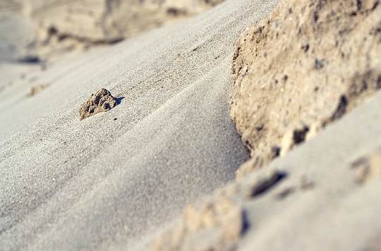 sand-dry-powder-investment