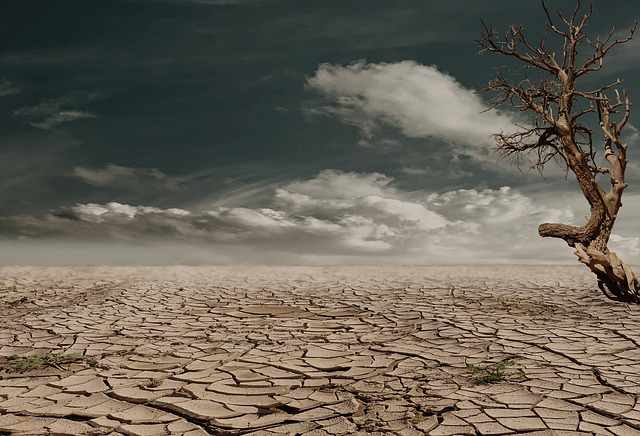 drought-desert-image