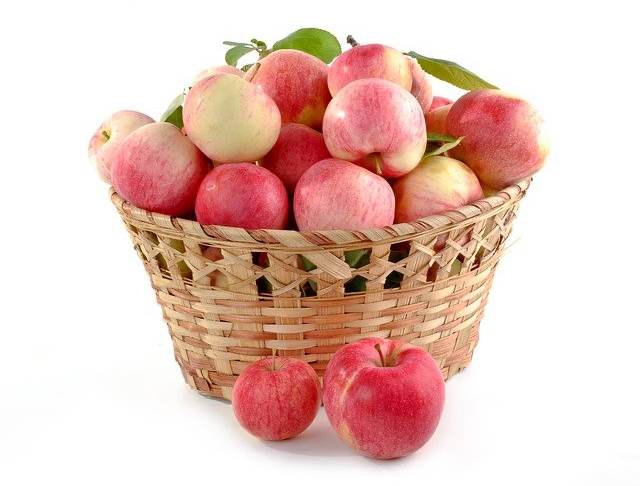 overflow-full-oversubscribed-reinsurance