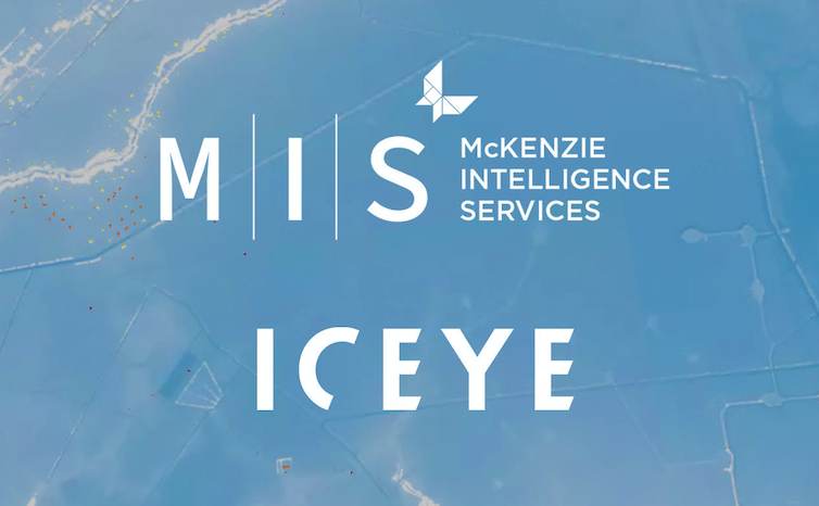 mis-iceye-logos