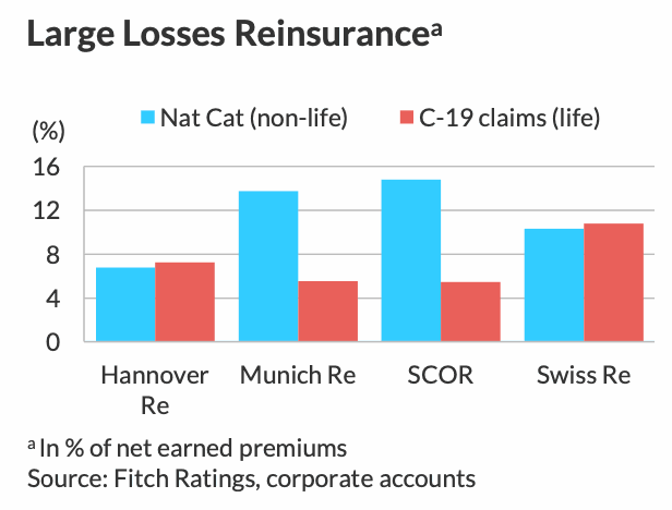 reinsurer-large-losses