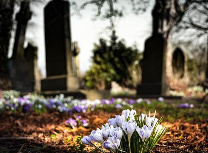 Era of catastrophe-focused traditional reinsurers may be over: AM Best