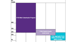iag-reinsurance-renewal-program