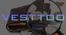 vesttoo-collateral-loc-fraud