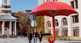 travelers-insurance-image