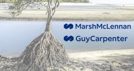 mangrove-private-catastrophe-bond