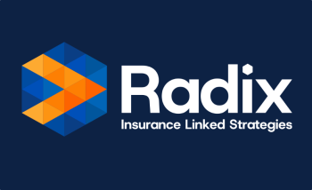 radix-ils-logo