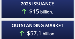 Catastrophe bond issuance to the end of May 2025