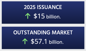 Catastrophe bond issuance to the end of May 2025