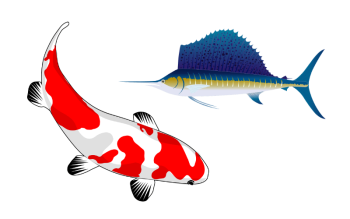 Sailfish Re Ltd. - Koi Re 2025-1 private catastrophe bond