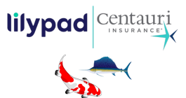 Sailfish Re Ltd. Koi Re 2025-1 catastrophe bond, Lilypad Insurance, Centauri Insurance