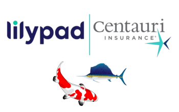 Sailfish Re Ltd. Koi Re 2025-1 catastrophe bond, Lilypad Insurance, Centauri Insurance