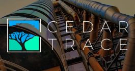 cedar-trace-lloyds-ils